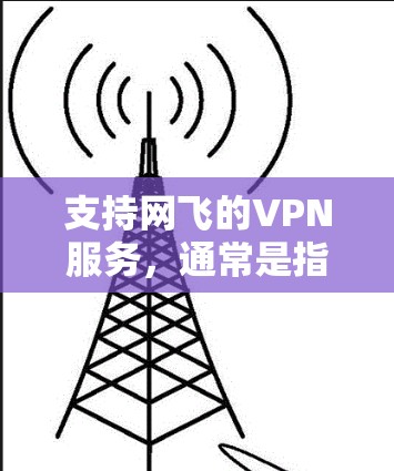 支持网飞的VPN服务，通常是指使用网飞（Net飞）提供的VPN服务来保护您的数据和网络连接。以下是一些支持网飞VPN服务的设备类型，以及它们适合使用网飞VPN服务的原因
